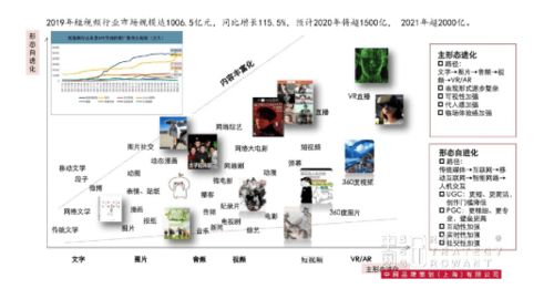 成熟品牌的營(yíng)銷突破 金光APP與中網(wǎng)品牌策劃的戰(zhàn)略咨詢解析